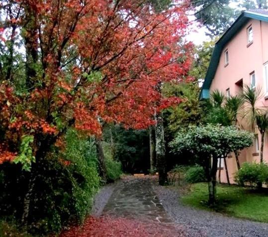 Apartamento Familia Sirangelo グラマド エクステリア 写真